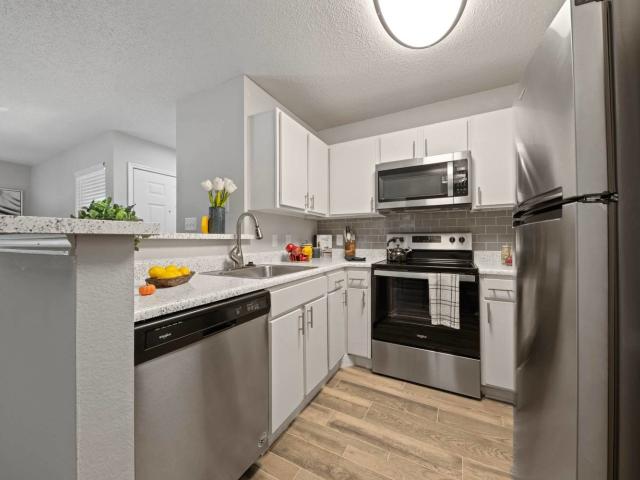 1 BR, 1 BA Apartment 256 East Corporate Drive Unit 0806, Lewisville, TX 75067