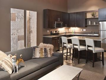 1 BR, 1 BA Apartment 2838 Fremont Ave S, Minneapolis, MN 55408