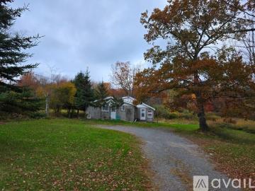1 BR, 1 BA Apartment 2880 NY 52, Unit 2, Liberty, NY 12754