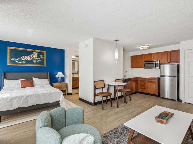 1 BR, 1 BA Apartment 2939 Westpark Drive Unit 230, Houston, TX 77005