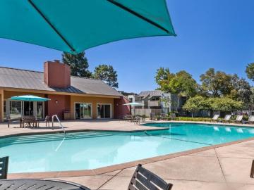 1 BR, 1 BA Apartment 203 Laurie Meadows Drive Unit 1 bed, 1 bath, $3097, San Mateo, CA 94403