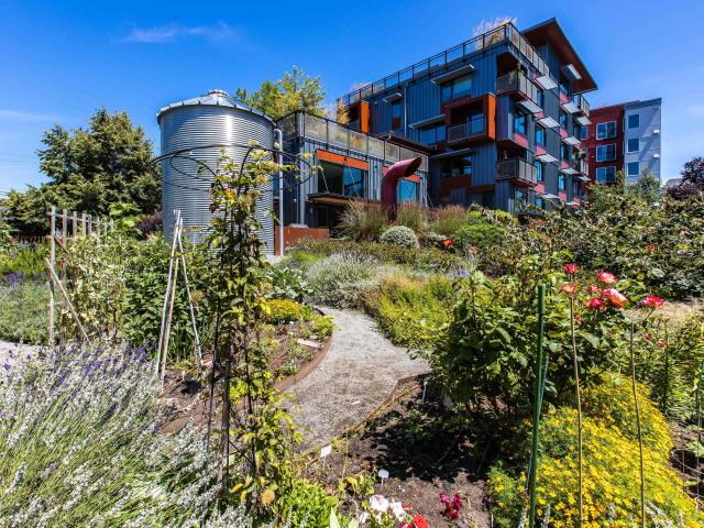 1 BR, 1 BA Apartment 2034 Northwest 56th Street Unit 403, Seattle, WA 98107