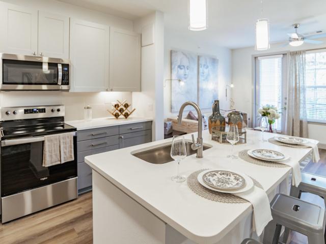 1 BR, 1 BA Apartment 20510 Cypress Plaza Parkway Unit 08203, Cypress, TX 77433