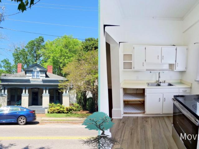 1 BR, 1 BA Apartment 209 E Peace St B, Raleigh, NC 27604