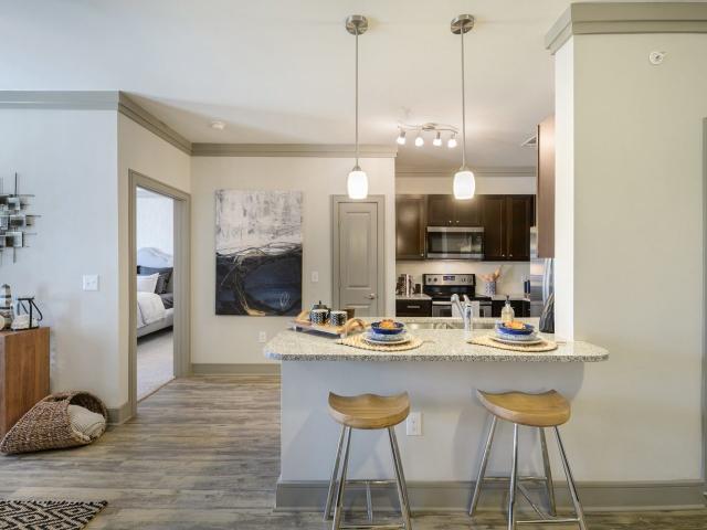 1 BR, 1 BA Apartment 21145 Spring Plaza Drive Unit 3308, Spring, TX 77388
