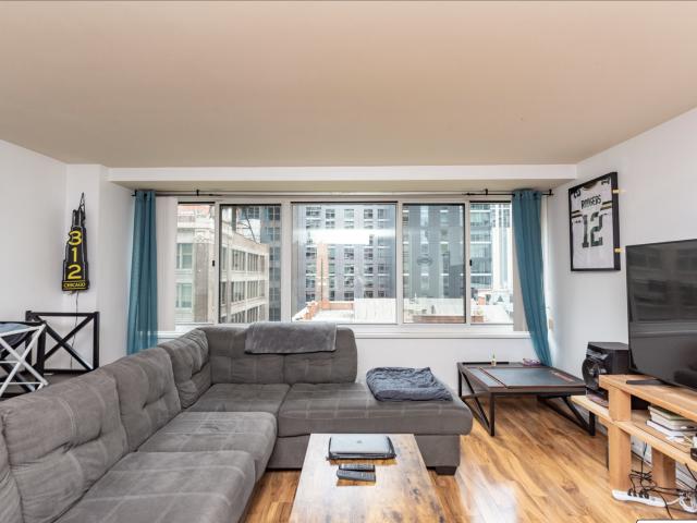 1 BR, 1 BA Apartment 211 East Ohio Street, Chicago, IL 60611