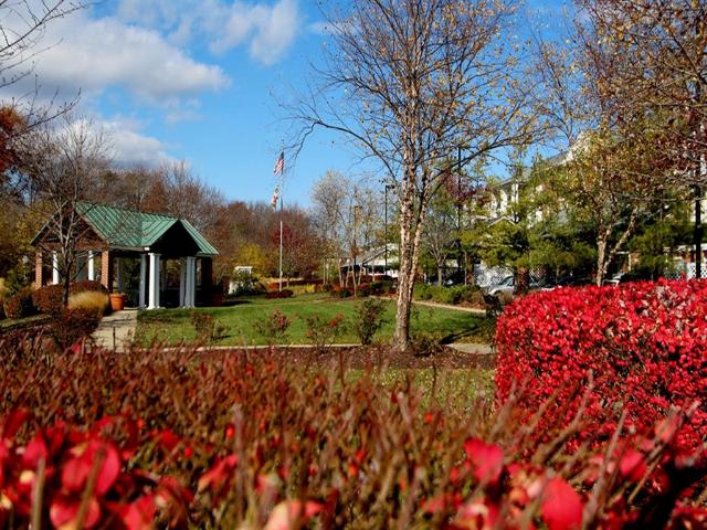 1 BR, 1 BA Apartment 217 Booth Street Unit 217 203, Gaithersburg, MD 20878