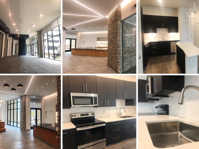 1 BR, 1 BA Apartment 214 Dwyer Ave, San Antonio Downtown, TX 78204