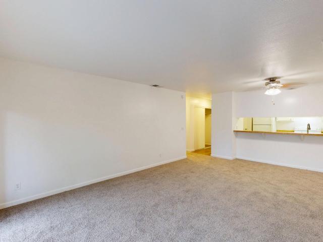 1 BR, 1 BA Apartment 218 Marin St, San Rafael, CA 94901