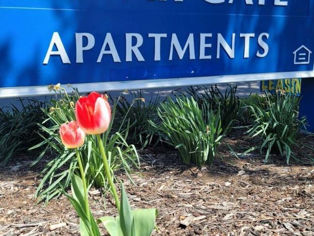 1 BR, 1 BA Apartment 223 Cedargate Court, Michigan City, IN 46360