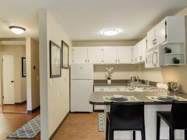 1 BR, 1 BA Apartment 223 Ridgewood Avenue Unit 217 101, Minneapolis, MN 55403