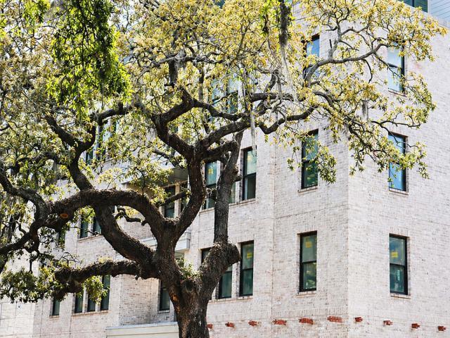 1 BR, 1 BA Apartment 2213 Bull Street Unit 2518, Savannah, GA 31401