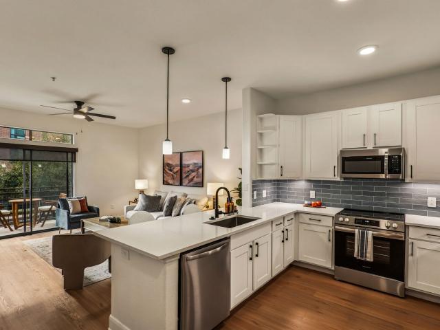 1 BR, 1 BA Apartment 2300 Richmond Ave Unit 242, Houston, TX 77098