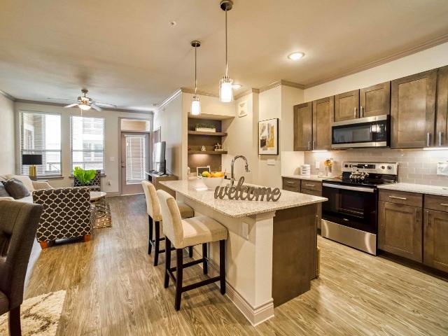 1 BR, 1 BA Apartment 2308 Bingle Road Unit 3430, Houston, TX 77055