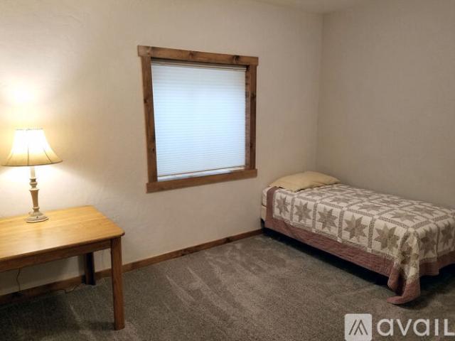 1 BR, 1 BA Apartment 231 Lagoon Lane, Unit Basement Bedroom, Silverthorne, CO 80498