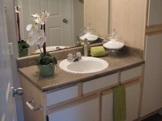 1 BR, 1 BA Apartment 3428 Cove View Blvd Unit 836, Galveston, TX 77554