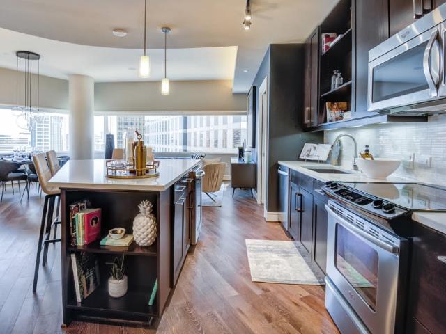 1 BR, 1 BA Apartment 350 North Saint Paul Street Unit 2313, Dallas, TX 75201