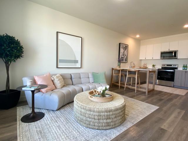 1 BR, 1 BA Apartment 351 Valpico Road Unit 0234, Tracy, CA 95376