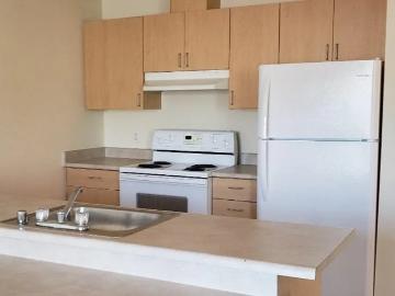 1 BR, 1 BA Apartment 3621 33rd Avenue South Unit 508, Seattle, WA 98144