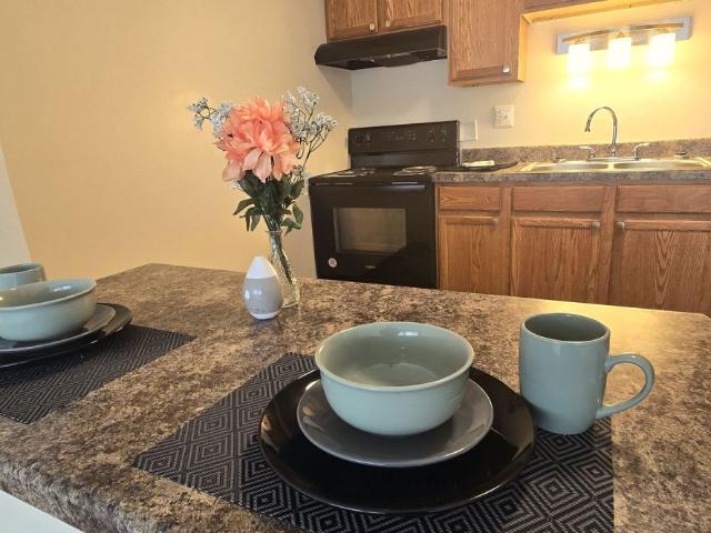 1 BR, 1 BA Apartment 3632 Pine Ridge Court Unit 20103, Moline, IL 61265