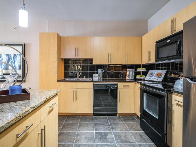 1 BR, 1 BA Apartment 3660 Richmond Avenue Unit 315, Houston, TX 77027