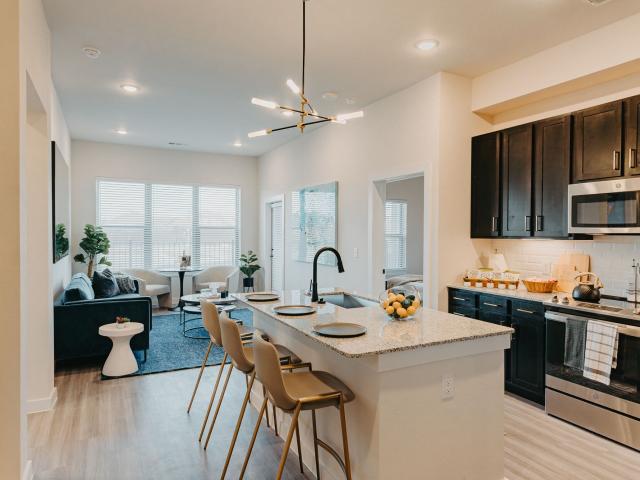 1 BR, 1 BA Apartment 3711 South State Highway 161 Unit 1314, Grand Prairie, TX 75052