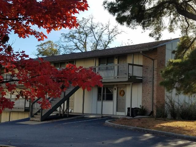 1 BR, 1 BA Apartment 3815 6th Avenue South Unit Apt.10, Birmingham, AL 35222