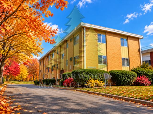 1 BR, 1 BA Apartment 39 Rhodes Ave, Unit 9, Akron, OH 44302