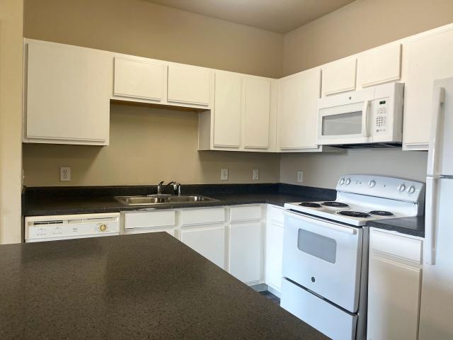 1 BR, 1 BA Apartment 300 Labor Street Unit 4209, San Antonio, TX 78210
