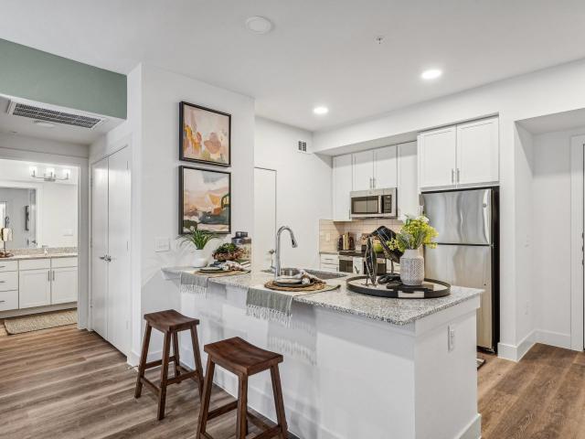 1 BR, 1 BA Apartment 300 North McDonald Street Unit 1185, McKinney, TX 75069