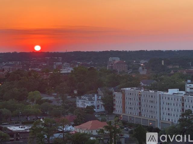 1 BR, 1 BA Apartment 300 South Duval Street, Unit 1709, Tallahassee, FL 32301