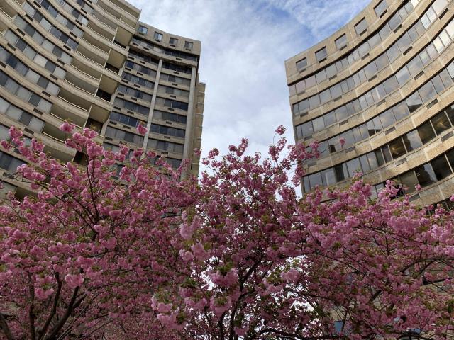 1 BR, 1 BA Apartment 302 E Joppa Rd Unit 0309, Towson, MD 21286