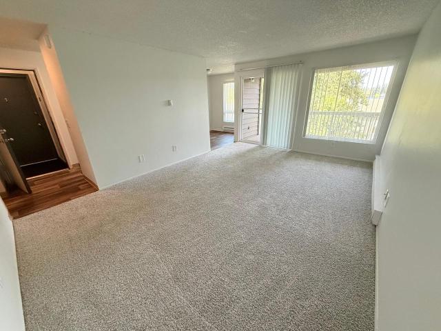 1 BR, 1 BA Apartment 30602 Pacific Hwy S Unit K 103, Federal Way, WA 98003