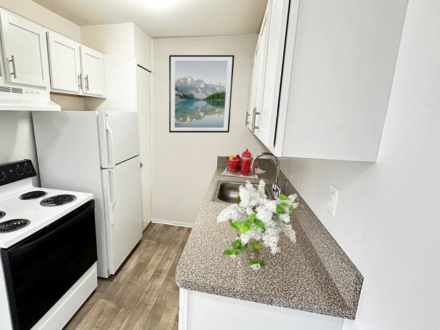 1 BR, 1 BA Apartment 30791 Jeffrey Court Unit 03 201, New Hudson, MI 48165