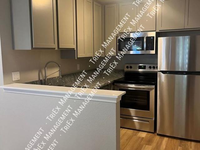 1 BR, 1 BA Apartment 310 Pine Street, Reno, NV 89501