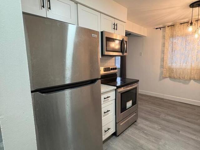 1 BR, 1 BA Apartment 3150 Peter St, Windsor, ON N9C1H3