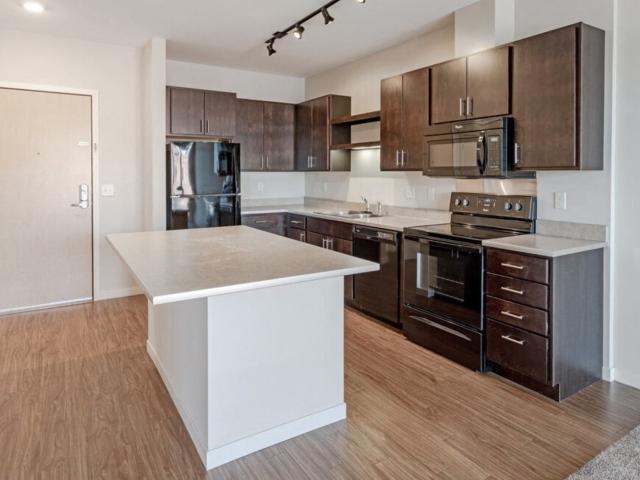 1 BR, 1 BA Apartment 322 South 2nd Street Unit 419, Minneapolis, MN 55401