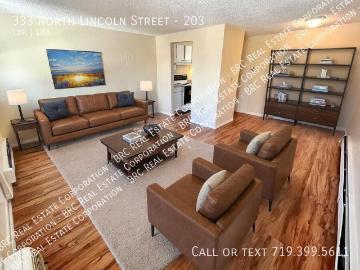1 BR, 1 BA Apartment 333 North Lincoln Street, Denver, CO 80203