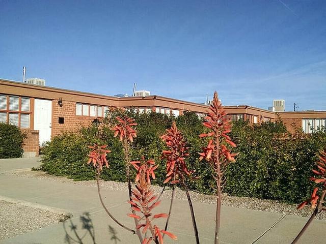 1 BR, 1 BA Apartment 3301 East 2nd Street Unit 15, Tucson, AZ 85716