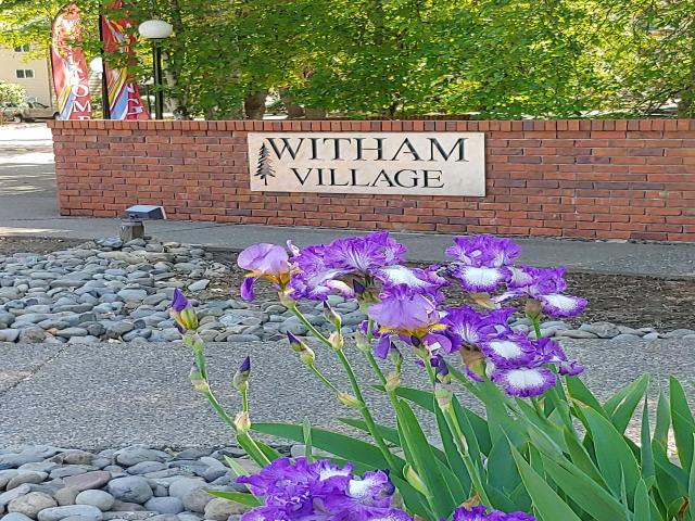 1 BR, 1 BA Apartment 4400 Northwest Walnut Boulevard Unit 91, Corvallis, OR 97330