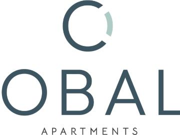 1 BR, 1 BA Apartment 4434 Cobalt Brook Blvd Unit 2309, Lutz, FL 33559