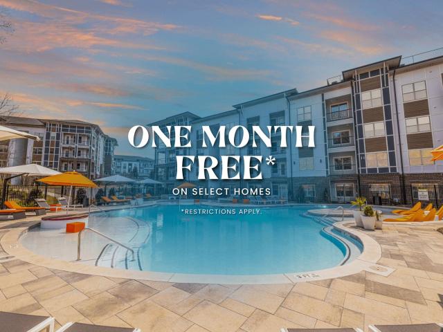 1 BR, 1 BA Apartment 4501 Holly Springs Parkway Unit 4114, Canton, GA 30115