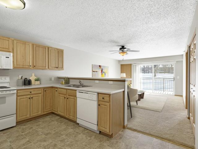 1 BR, 1 BA Apartment 4540 Nathan Lane North Unit 99 223, Minneapolis, MN 55442