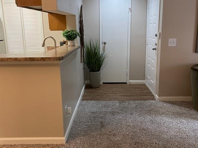 1 BR, 1 BA Apartment 4801 S Wadsworth Blvd, Unit 12205, Denver, CO 80123