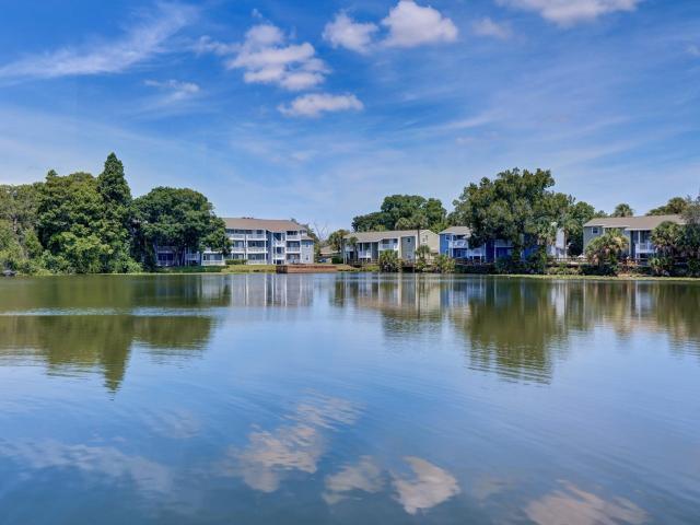 1 BR, 1 BA Apartment 4902 North Macdill Avenue Unit 1102, Tampa, FL 33614