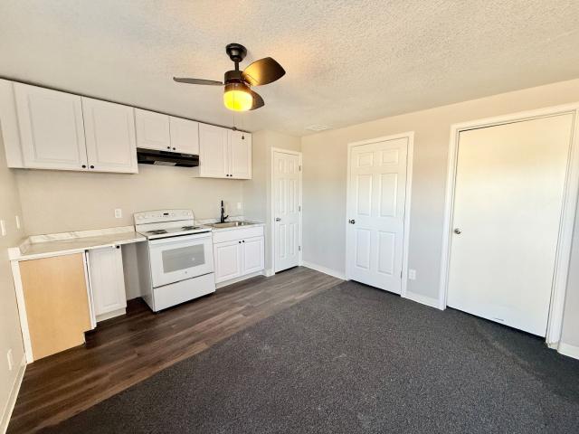 1 BR, 1 BA Apartment 400 Santa Fe Dr Unit 13, CO 81006