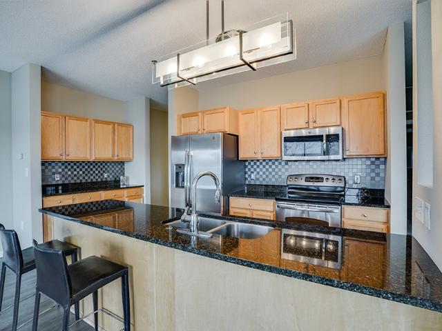 1 BR, 1 BA Apartment 400 Spring Street Unit 400 219, Saint Paul, MN 55102