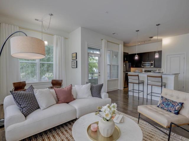 1 BR, 1 BA Apartment 408 East Hargett Street Unit 446, Raleigh, NC 27601
