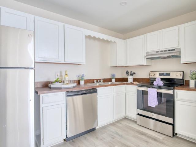 1 BR, 1 BA Apartment 4203 Northeast 2 Way Unit 304, Gainesville, FL 32609