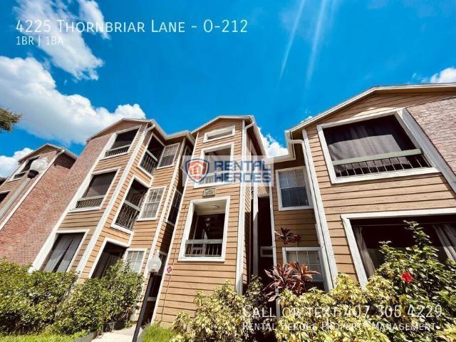 1 BR, 1 BA Apartment 4225 Thornbriar Lane, Orlando, FL 32822